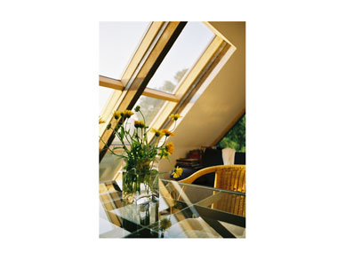 Galerie Vevais: Archiv 5